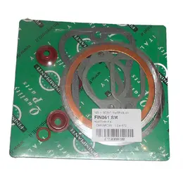 Dihtunzi cilindra Lombardini LDA 672 Italija, slika 1 - LOMBARDINI motori