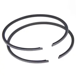 Karike Peugeot 50cc 2T fi 40x1,5 mm Caber, slika 1 - Klip i karike