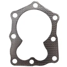 Dihtung glave Briggs & Stratton Series 600 / Quantum, slika 1 - Delovi za BRIGGS & STRATTON kosilice
