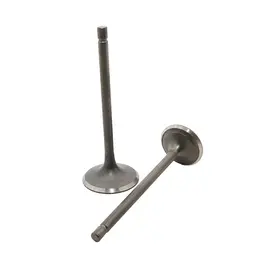 Ventili set ATV Cross 250cc, slika 1 - Kvad / Pocket