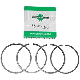 Karike Lombardini LDA 672 I specijala fi 95,5 mm Finimpianti, slika 1 - LOMBARDINI motori