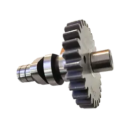 Bregasta osovina Lombardini LDA 450/510 IMT 509, slika 1 - LOMBARDINI motori