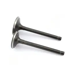 Ventili motora kosilice LC 1P85FA set, slika 1 - Delovi za VILLAGER / FARM / LONCIN / MTD kosilice