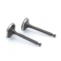 Ventili motora kosilice LC 1P70FC set, slika 1 - Delovi za VILLAGER / FARM / LONCIN / MTD kosilice