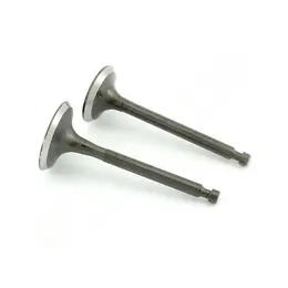 Ventili motora kosilice LC 1P75FA set, slika 1 - Delovi za VILLAGER / FARM / LONCIN / MTD kosilice