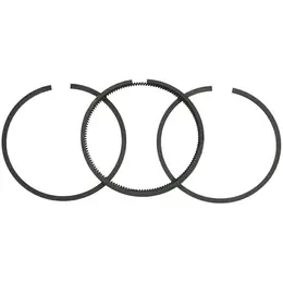 Karike Briggs & Stratton fi 68,33 mm 1,6x1,6x4 Willtek, slika 1 - Delovi za BRIGGS & STRATTON kosilice