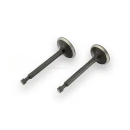 Ventili motora kosilice LC 1P70FA set, slika 1 - Delovi za VILLAGER / FARM / LONCIN / MTD kosilice