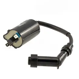 Bobina za skuter Leonardo 125-150 Kymco Grand Dink Malaguti Madison RMS, slika 1 - Bobina