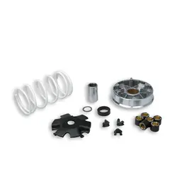 Varijator za skuter GY6 50cc 4T Multivar Malossi 5113790, slika 1 - Varijator