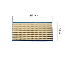 Filter vazduha Briggs & Stratton 9 KS 210x99x25 mm 710266, slika 1 - Delovi za BRIGGS & STRATTON kosilice