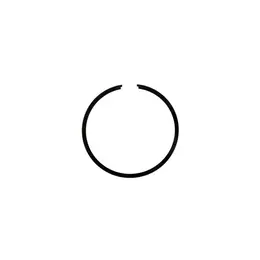 Karika Tomos Elektronik E90 fi 48x1,5 mm Caber, slika 1 - Motorni delovi za TOMOS