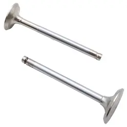 Ventili Lombardini LDA 450 510 Indija, slika 1 - LOMBARDINI motori