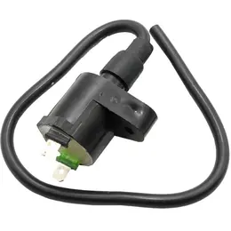 Bobina za skuter GY6 Aprilia Peugeot Piaggio Spring Sym 2T 4T Italija, slika 1 - Bobina