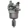 Karburator Briggs & Stratton 14,5-21KS 591731 796109 594593 Sword, slika 5 - Delovi za BRIGGS & STRATTON kosilice