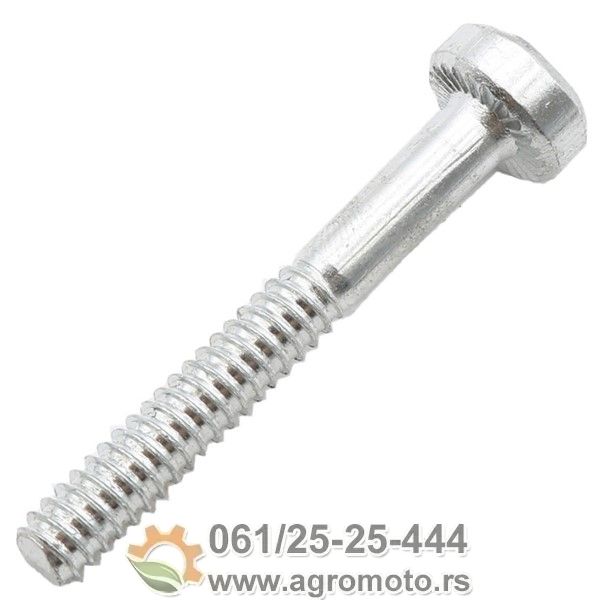 Šraf cilindra testere za Stihl MS 021 023 025 210 230 250 Ital, slika 1 - Delovi za STIHL testere Šraf cilindra testere za Stihl MS 021 023 025 210 230 250 Ital, slika 1 - Delovi za STIHL testere