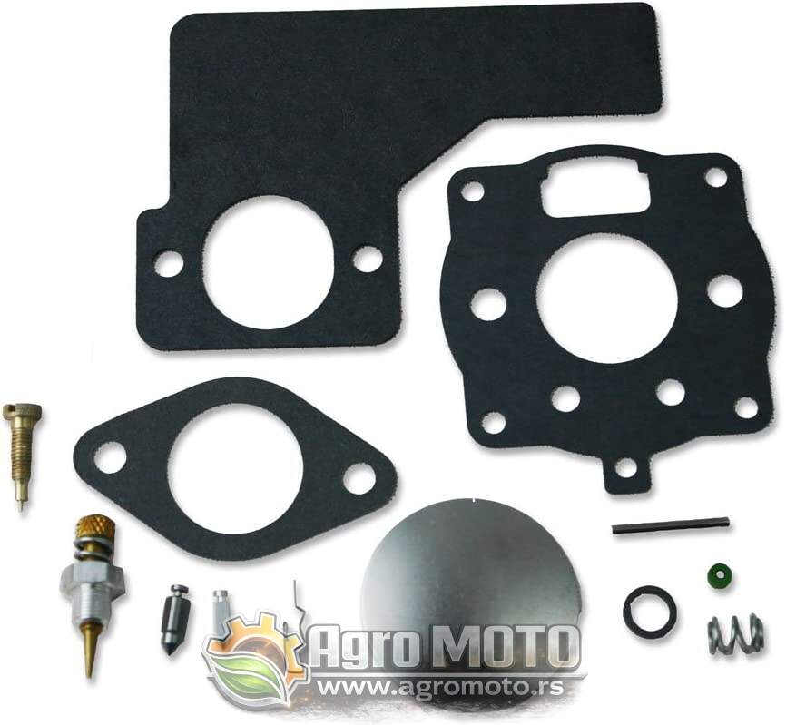 Set za reparaciju karburatora Briggs & Stratton 394989, slika 1 - Delovi za BRIGGS & STRATTON kosilice