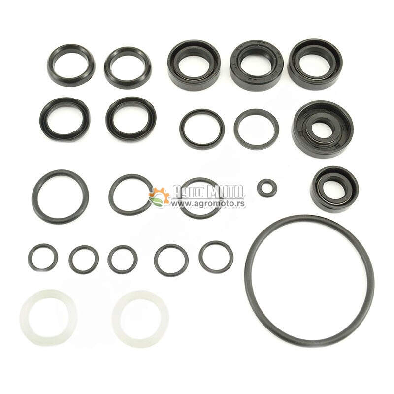 Zaptivke atomizera Villager PS 20 HYUNDAI 768 900 komplet set, slika 1 - VILLAGER® DM 14 P atomizer delovi