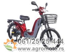 Električni bicikl GLX-A-3 250W 48V 12Ah bordo 1
