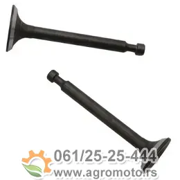 Ventili Honda GX 110 120, slika 1 - HONDA G / HONDA GX
