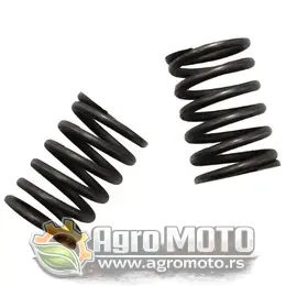 Opruge ventila Kipor 186F, slika 1 - KIPOR motori