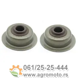 Tefloni ventila Honda GX 140 160 200, slika 1 - HONDA G / HONDA GX