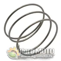 Opruga membrane Briggs & Stratton 9,5 mm, slika 1 - Delovi za BRIGGS & STRATTON kosilice
