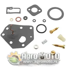 Set za reparaciju karburatora Briggs & Stratton 3,5 do 4 KS, slika 1 - Delovi za BRIGGS & STRATTON kosilice