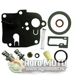 Set za reparaciju karburatora Briggs & Stratton 494623, slika 1 - Delovi za BRIGGS & STRATTON kosilice