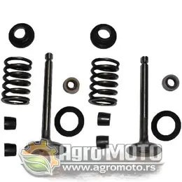 Ventili sa oprugama Kipor 178F set, slika 1 - KIPOR motori
