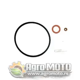 Set za reparaciju karburatora Tecumseh LAV40, slika 1 - Delovi za TECUMSEH kosilice