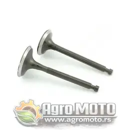 Ventili motora kosilice LC 1P75FA set, slika 1 - Delovi za VILLAGER / FARM / LONCIN / MTD kosilice