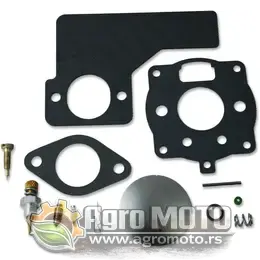 Set za reparaciju karburatora Briggs & Stratton 394989, slika 1 - Delovi za BRIGGS & STRATTON kosilice