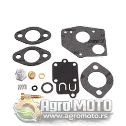 Set za reparaciju karburatora Briggs & Stratton 495606 494624, slika 1 - Delovi za BRIGGS & STRATTON kosilice