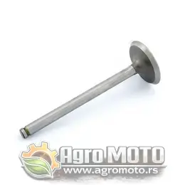 Ventil izduvni Lombardini LDA 450 510 Antor, slika 1 - LOMBARDINI motori