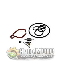 Set za reparaciju karburatora Briggs & Stratton Serie 450E 500E 550E 590589, slika 1 - Delovi za BRIGGS & STRATTON kosilice
