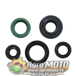 Semerinzi motora Tomos APN BT50 ATX50 CTX80 novi tip kvalitet set, slika 1 - Startni mehanizam za TOMOS