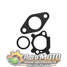 Karburator Briggs & Stratton DOV series 700 750, slika 5 - Delovi za BRIGGS & STRATTON kosilice