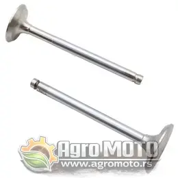 Ventili Lombardini LDA 450 510 Indija, slika 1 - LOMBARDINI motori